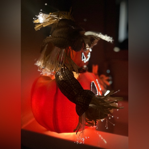 Vintage 2005 Pumpkin Hollow Fiber Optic Scarecrow Halloween 12” Jack O Lantern - Picture 3 of 7